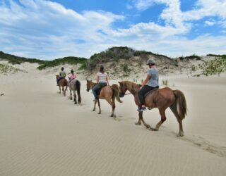 Paardrijden met kinderen op het strand