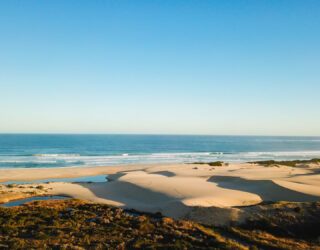 Relaxen op het strand in Oyster Bay