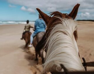 Paardrijden op het strand in Oyster Bay
