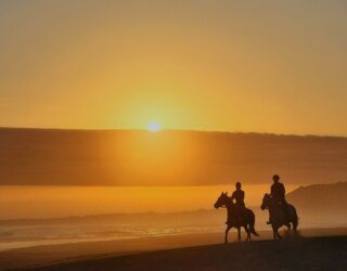 Paardrijden bij zonsondergang Oyster Bay