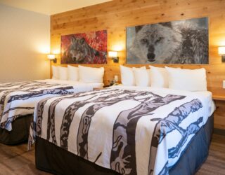 Kamer met kids hotel Banff