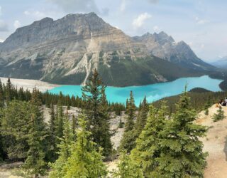 Het uitzicht op Lake Peyto