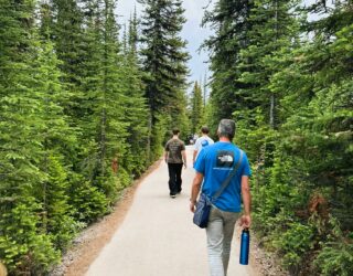 Wandelen in de bossen langs Icefield Parkway