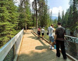 Gezin in de bossen van Maligne Canyon