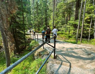 Kinderen wandelen door de bossen van Maligne Canyon