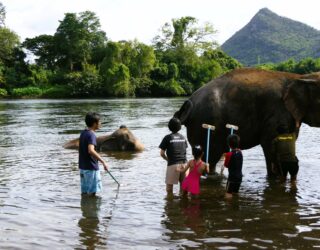 Kinderen wassen de olifant