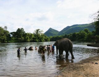Samen de olifanten wassen in Thailand