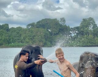 Kind wast de olifanten