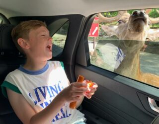 Ontdek alle dieren van Canada in 1 dag