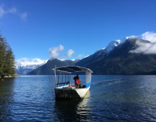 Met de boot op zoek naar beren in Canada