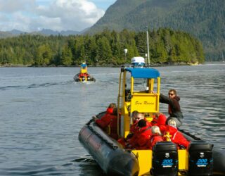 Vanop de boot walvissen spotten in Tofino