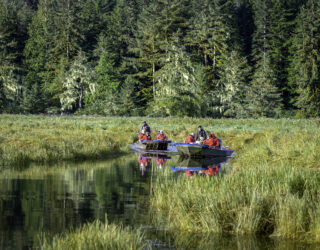 Boottocht aan het Great Bear Rainforest