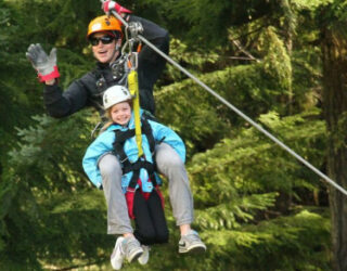 Zippen en trippen in de bergbossen