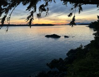 Strand bij Tofino