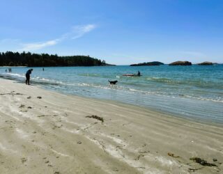 Kind met hond op strand hotel Tofino