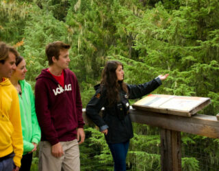 Uitleg over de bergbossen in Whistler