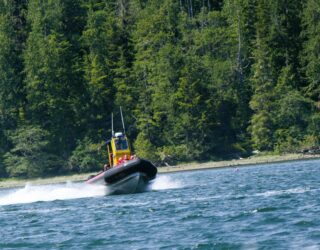 Met de boot op zoek naar zeedieren rond Tofino