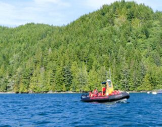 Walvissen spotten vanop een boot in Tofino