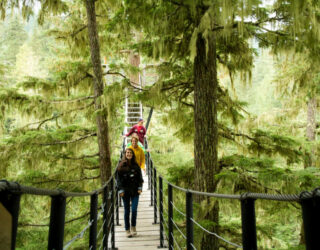 Wandelen op houten hangbrug in de bergbossen