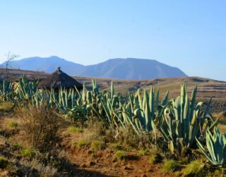 Landschap in Lesotho