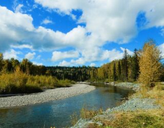 Thompson rivier Kamloops