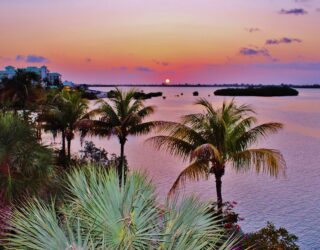 Roze avondgloed bij Key West