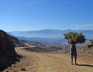 Landbouwer in Lesotho