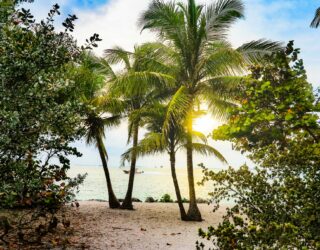 Strand bij Key West