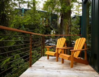 Terras boomhut Tofino