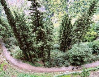 Wandelen in het groen in Dimitsana