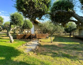 Glamping tussen de olijfbomen in Griekenland