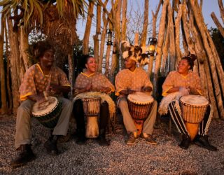 Muziek bij het kampvuur in het wildreservaat langs de tuinroute