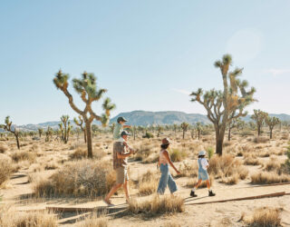 Met de kinderen in Joshua Tree National Park