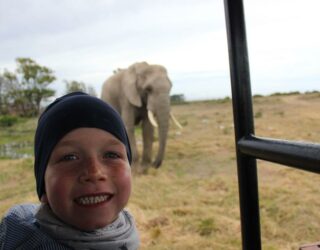Kind spot olifant in het wildreservaat