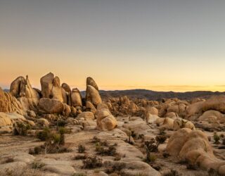 Unieke rotsformaties in Joshua Tree National Park