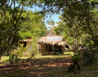 Huis van de Bri Bri Indianen in Costa Rica