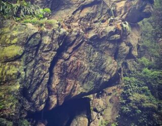 Hoge rotsen in Tsitsikamma National Park