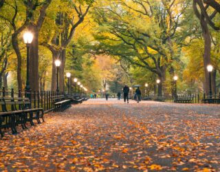 Fietsen met kinderen door Central Park in de herfst