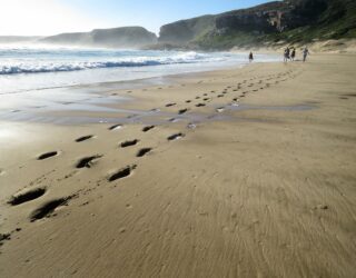 Strand Plettenberg bay