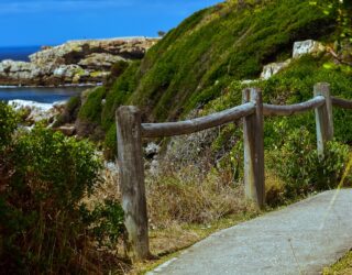 Wandelen op de klifpaden in Hermanus