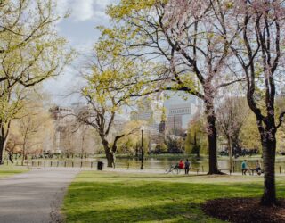 Kinderen fietsen door Central Park in de lente