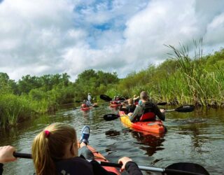 Kajakken tussen de alligators in de Everglades te Florida
