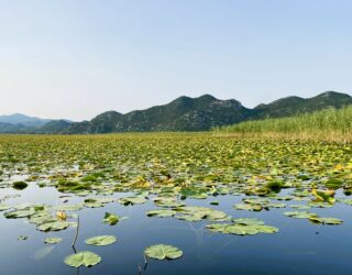 Meer Skadar Montenergo