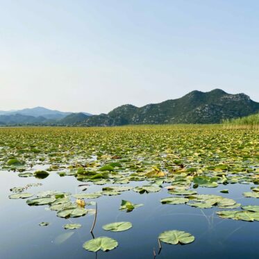 Meer van Skadar Montenergo