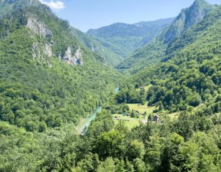 Raften in het groen op Tara rivier in Montenegro