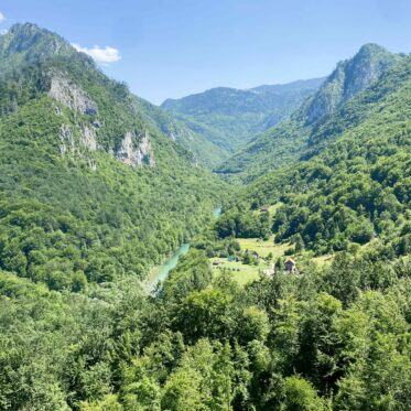 Raften in het groen op Tara rivier in Montenegro