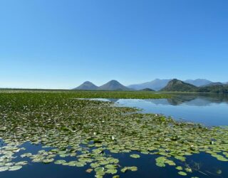 Het prachtige Skadar Lake in Montenegro