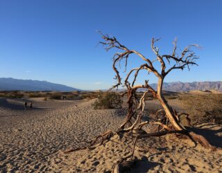 Bezoek Mesquite dunes in Death Valley