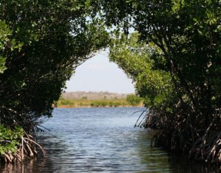 Everglades Florida