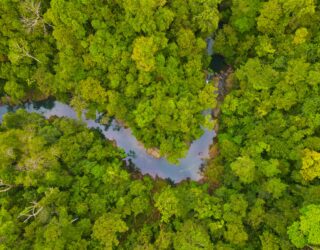 Drake Bay Costa Rica rivier